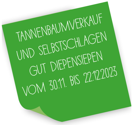 Düsseldorf: Tannenbaumverkauf & Tannenbaumschlagen