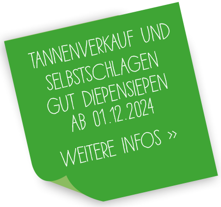 Tannenbaumschlagen 2024